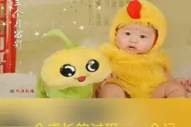 儿子。儿子。我是你爸爸视频封面