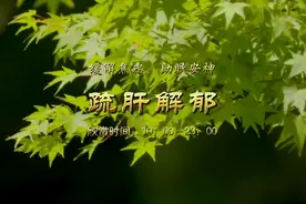 五音疗疾丨悠扬悦耳，疏肝理气，解郁助眠，净心安神《涅槃》视频封面