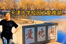 爱晚湖水像宝镜一样映出了蓝天白云倒影，芦花里的麻雀在取暖觅食视频封面