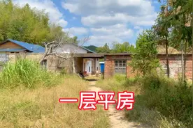 一栋一层平房，带大露台，水资源丰富，这样的地方您喜欢吗视频封面