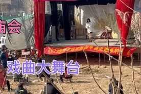 小学生去看戏，体验乡村大舞台魅力，感受当地传统艺术文化视频封面