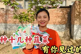 陕西关中农村种啥菜？十几种瓜果菜五花八门，有些菜很多人没见过视频封面