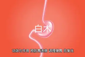 白术的功效与作用视频封面
