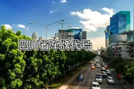 四川省车牌代号
