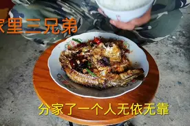 家里三兄弟，排行老三，分家了，以后的路全部靠自己一个人视频封面