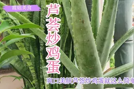 芦荟炒鸡蛋，这样吃法真是太妙了，大家学着做起来吧！视频封面