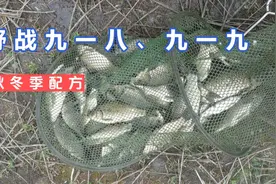 野战九一八这样配效果才最好，秋冬钓鱼饵料配方，比老三样还好用视频封面