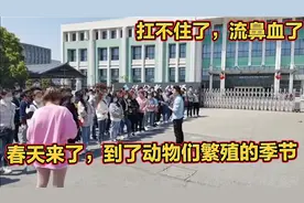 苏州园区新能源工厂，长白班，包吃住，日结200，这厂美女真多啊视频封面