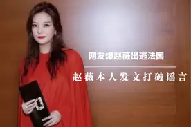 网传赵薇包机出逃法国，赵薇本人发文打破谣言视频封面