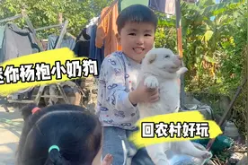 从城市回农村过年的迷你杨，有表妹的陪同下，鼓起勇气抱起小奶狗视频封面