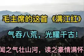 “蚂蚁缘槐夸大国，蚍蜉撼树谈何易”，毛主席诗词欣赏《满江红》视频封面