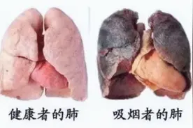 戒烟后身体会有什么变化呢？普及你不知道的冷知识视频封面