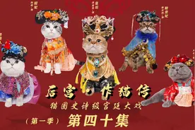 后宫·作猫传 第四十一集：喵眼看喵低