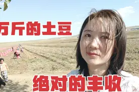 内蒙种植户每亩收10000多斤土豆，赶上今年好行情，绝对的大丰收