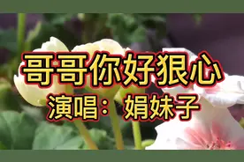 《哥哥你好狠心》给你捎信你不回信，丢下妹子你好狠心！好听极了视频封面