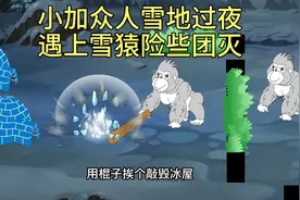 小加众人雪地过夜，遇见雪猿猛兽险些团灭，幸亏小加提前挖了冰洞视频封面