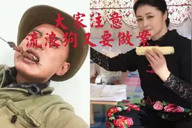 亚历山大流浪狗又要搞事情了吗？大脚的意外有诸多疑点视频封面