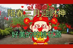 春天到了，鸟语花香好美的景色，效外听着优美的音乐看着美景。视频封面