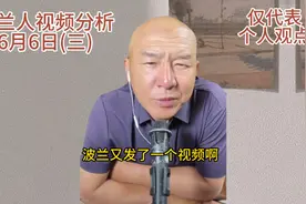 波兰人视频分析视频封面