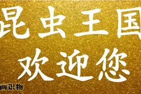 宝宝绘画识物系列：一起发现奇妙的昆虫王国 动物世界儿童绘画视频封面