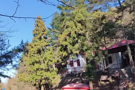 游览庐山东线剩余景区，满眼皆是美景，随手拍点供大家欣赏视频封面