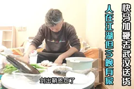 快马加鞭又入江湖，再次出发大武汉送货，今晚有家了视频封面