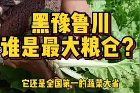 我国一半的粮食产量来自五个省，中原和东北，到底谁在为国种粮？视频封面