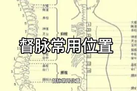 督脉常用位置视频封面