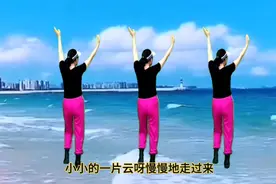 广场舞背面完整版《踏浪》老歌新跳，好看易学视频封面