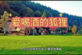 民间故事，喝酒的狐狸视频封面