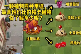 pvz2：一颗植物四种用途，最具性价比的橙卡植物，你了解多少呢？