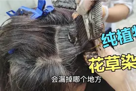 植物染发由凤仙花，墨旱莲，何首乌，熟地黄，乌梅，栀子，磨成粉视频封面