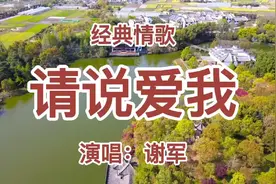 伤感情歌！谢军一首《请说爱我》旋律优美动听，唱的催人泪下！