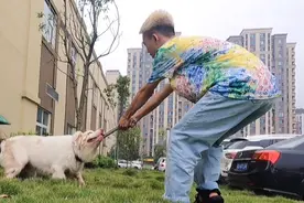 小狗和男主人拔河，力气太大了，把男主人击败了，真厉害的小狗视频封面