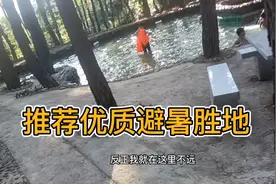 学生游泳、避暑胜地视频封面