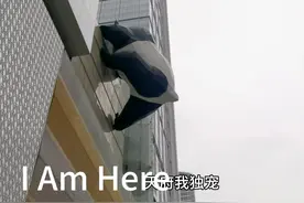 I Am Here等你来见！成都闹市IFS的熊猫爬大墙，你见过吗？