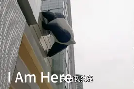 I Am Here等你来见！成都闹市IFS的熊猫爬大墙，你见过吗？