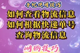 网购技巧：如何查看物流信息，如何根据快递单号查询物流信息。视频封面