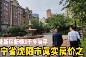 辽宁省沈阳市真实房价之沈北新区新楼三千多一平实地探房现场谈价视频封面