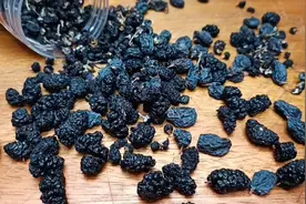 桑葚加黑枸杞和葡萄干，作用真厉害，我也是今天才知道，太实用了视频封面