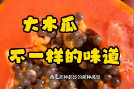 一个东北人在三亚直播卖木瓜，2元一斤便宜吗？三个贵阳人有口了视频封面