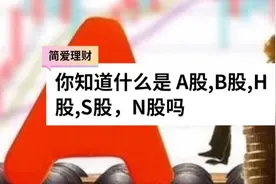 股票基础知识科普:什么是 A股,B股,H股,S股,N股视频封面