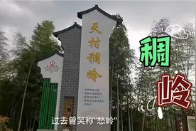 福建省南平市政和县：天村稠岭景区视频封面