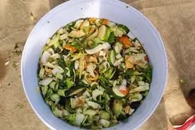 用菜叶子发酵不臭的液体肥，厨房的菜叶子发挥大作用视频封面