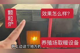 猪场使用颗粒炉取暖已经两年了，使用效果怎么样？方便经济还干净视频封面