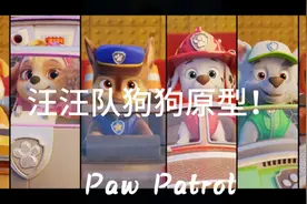 汪汪队狗狗原型！视频封面