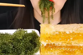 海葡萄   蜂巢蜜  咀嚼音   声控食音助眠解压视频封面