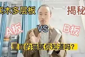 实木多层板分A板和B板，里面的猫腻你都知道吗？不要光看表面！视频封面