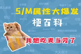 S/M属性大爆发是什么梗？