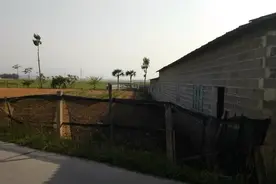 家门口就是农田，有合村并镇的需要吗？合村并镇能发展农业生产吗视频封面